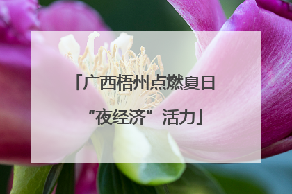 广西梧州点燃夏日“夜经济”活力