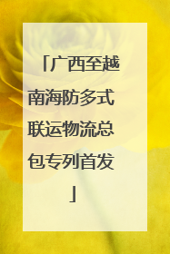 广西至越南海防多式联运物流总包专列首发