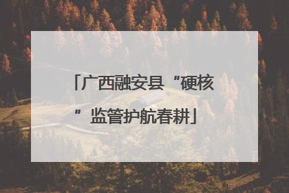 广西融安县“硬核”监管护航春耕