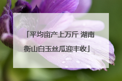 平均亩产上万斤 湖南衡山白玉丝瓜迎丰收