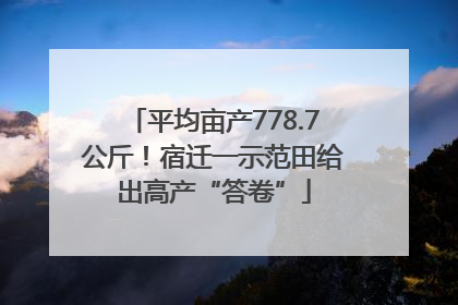 平均亩产778.7公斤！宿迁一示范田给出高产“答卷”