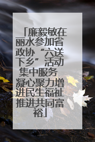 廉毅敏在丽水参加省政协“六送下乡”活动集中服务 凝心聚力增进民生福祉推进共同富裕