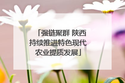 强链聚群 陕西持续推进特色现代农业提质发展