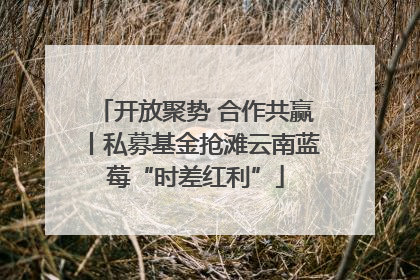 开放聚势 合作共赢丨私募基金抢滩云南蓝莓“时差红利”