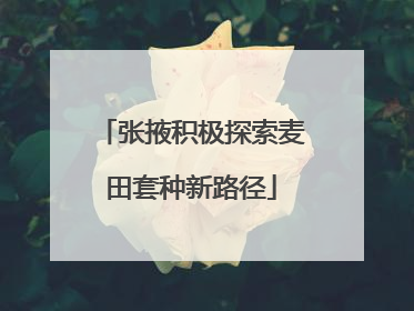 张掖积极探索麦田套种新路径