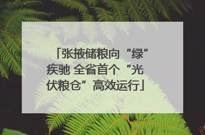 张掖储粮向“绿”疾驰 全省首个“光伏粮仓”高效运行