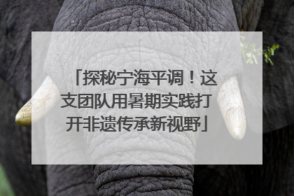 探秘宁海平调！这支团队用暑期实践打开非遗传承新视野