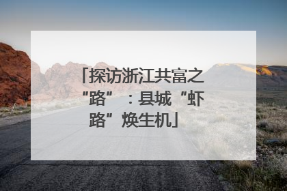 探访浙江共富之“路”：县城“虾路”焕生机