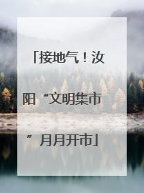接地气！汝阳“文明集市”月月开市