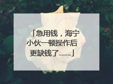 急用钱，海宁小伙一顿操作后更缺钱了……