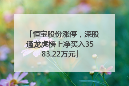 恒宝股份涨停，深股通龙虎榜上净买入3583.22万元