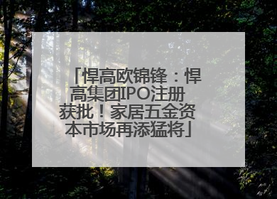 悍高欧锦锋：悍高集团IPO注册获批！家居五金资本市场再添猛将