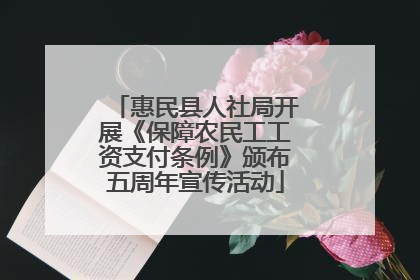 惠民县人社局开展《保障农民工工资支付条例》颁布五周年宣传活动