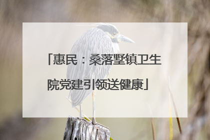 惠民：桑落墅镇卫生院党建引领送健康