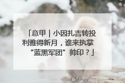 意甲｜小因扎吉转投利雅得新月，谁来执掌“蓝黑军团”帅印？