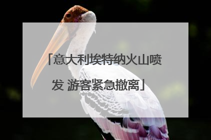 意大利埃特纳火山喷发 游客紧急撤离