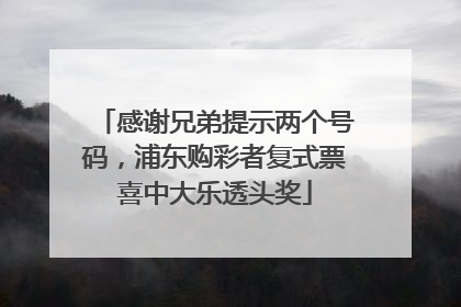 感谢兄弟提示两个号码，浦东购彩者复式票喜中大乐透头奖