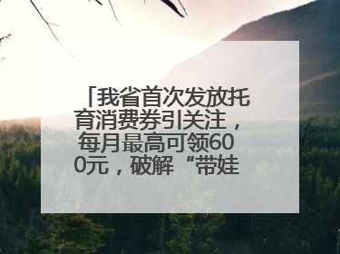 我省首次发放托育消费券引关注，每月最高可领600元，破解“带娃难” 如何不负所“托”？