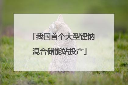 我国首个大型锂钠混合储能站投产