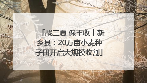 战三夏 保丰收丨新乡县：20万亩小麦种子田开启大规模收割