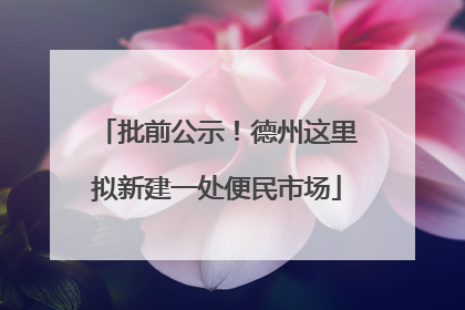批前公示！德州这里拟新建一处便民市场