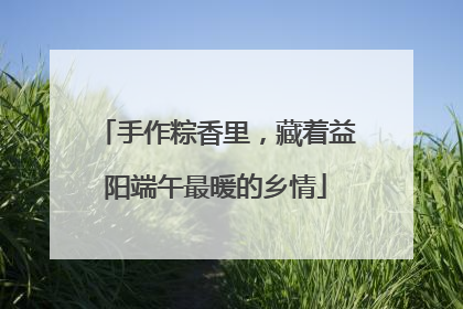 手作粽香里，藏着益阳端午最暖的乡情