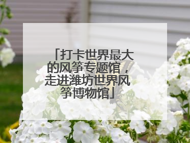 打卡世界最大的风筝专题馆，走进潍坊世界风筝博物馆