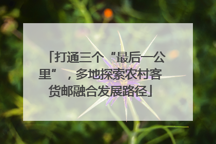 打通三个“最后一公里”，多地探索农村客货邮融合发展路径