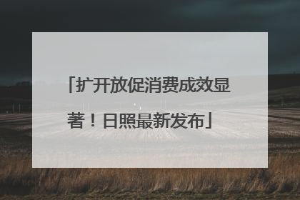 扩开放促消费成效显著！日照最新发布