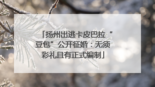 扬州出逃卡皮巴拉“豆包”公开征婚：无须彩礼且有正式编制