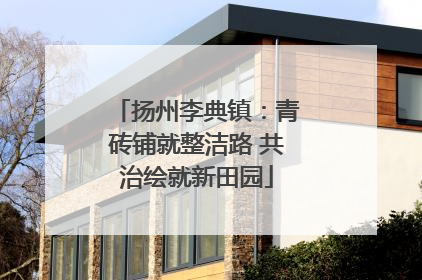 扬州李典镇：青砖铺就整洁路 共治绘就新田园