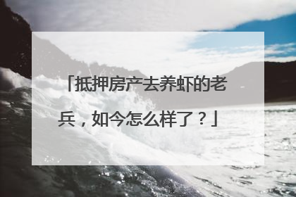 抵押房产去养虾的老兵，如今怎么样了？