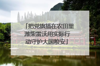把党旗插在农田里 潍柴雷沃用实际行动守护大国粮安
