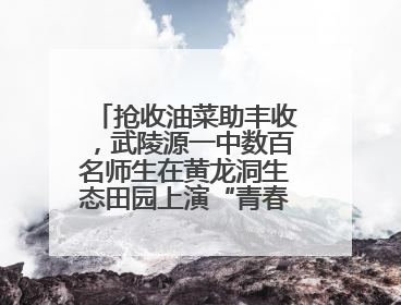 抢收油菜助丰收，武陵源一中数百名师生在黄龙洞生态田园上演“青春助农记”