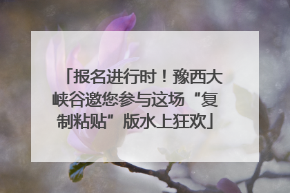 报名进行时！豫西大峡谷邀您参与这场“复制粘贴”版水上狂欢