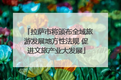 拉萨市将颁布全域旅游发展地方性法规 促进文旅产业大发展