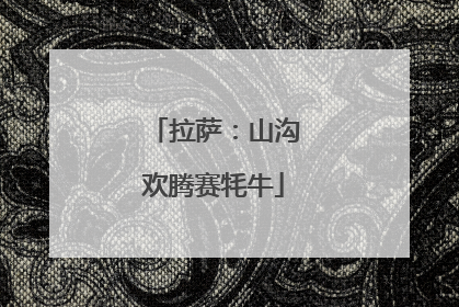 拉萨：山沟欢腾赛牦牛
