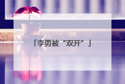 李勇被“双开”
