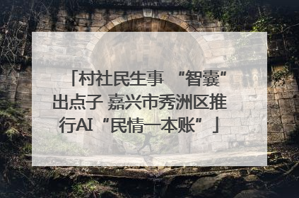 村社民生事 “智囊”出点子 嘉兴市秀洲区推行AI“民情一本账”