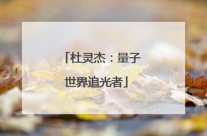 杜灵杰：量子世界追光者