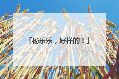 杨乐乐，好样的！
