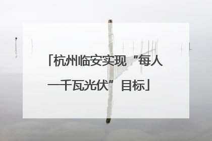 杭州临安实现“每人一千瓦光伏”目标