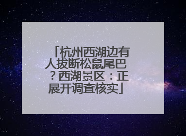 杭州西湖边有人拔断松鼠尾巴？西湖景区：正展开调查核实