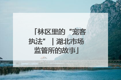林区里的“宠客执法”｜湖北市场监管所的故事