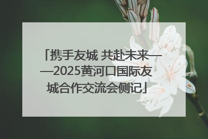 携手友城 共赴未来——2025黄河口国际友城合作交流会侧记