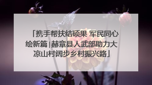 携手帮扶结硕果 军民同心绘新篇∣赫章县人武部助力大凉山村阔步乡村振兴路