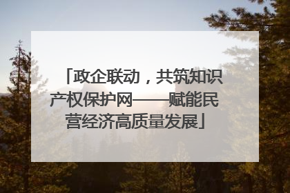 政企联动，共筑知识产权保护网——赋能民营经济高质量发展