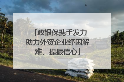 政银保携手发力 助力外贸企业纾困解难、提振信心