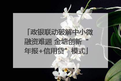 政银联动破解中小微融资难题 金塘创新“年报+信用贷”模式