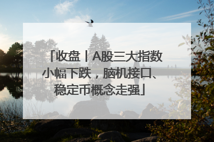 收盘丨A股三大指数小幅下跌，脑机接口、稳定币概念走强
